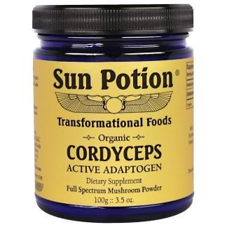 Sun Potion, 冬虫夏草ロー・マッシュルーム・パウダー、オーガニック、3.5オンス（100 g）